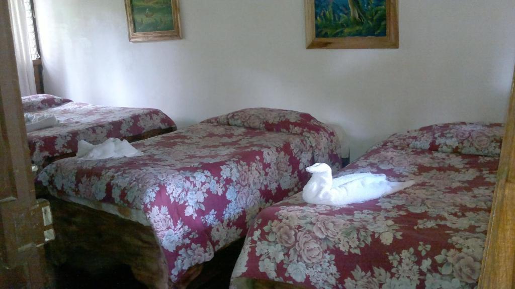 מונטה ורדה Hostel Villa Verde מראה חיצוני תמונה