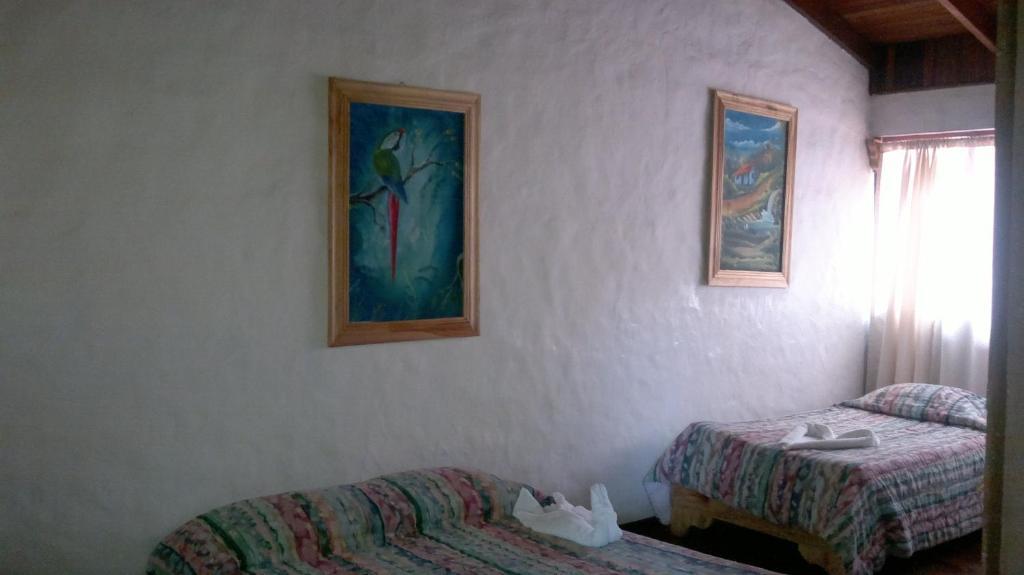 מונטה ורדה Hostel Villa Verde מראה חיצוני תמונה