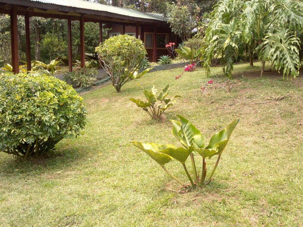 מונטה ורדה Hostel Villa Verde מראה חיצוני תמונה